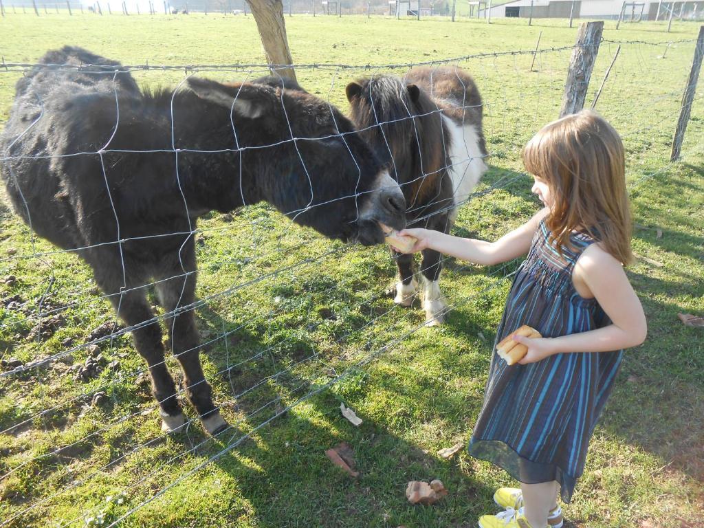 Bed and Breakfast La Ferme Des 3 Suissesses Saint-Paul  Exterior foto